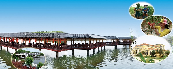 彭墩乡村大世界.jpg
